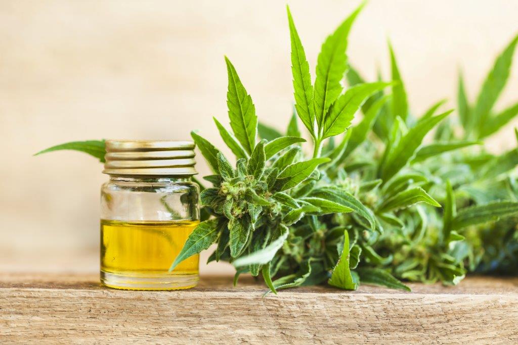 Olejki CBD